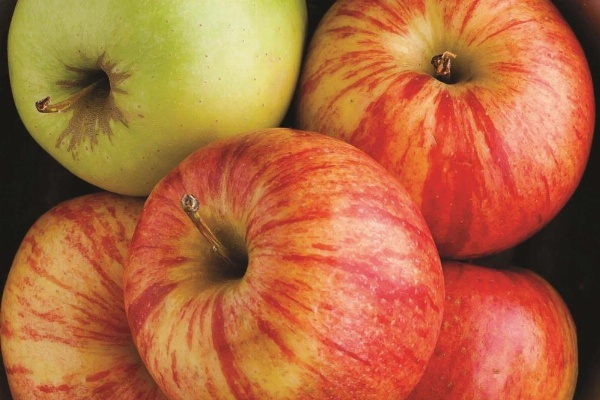 La Quinta Inn & Suites by Wyndham Cleveland image 10